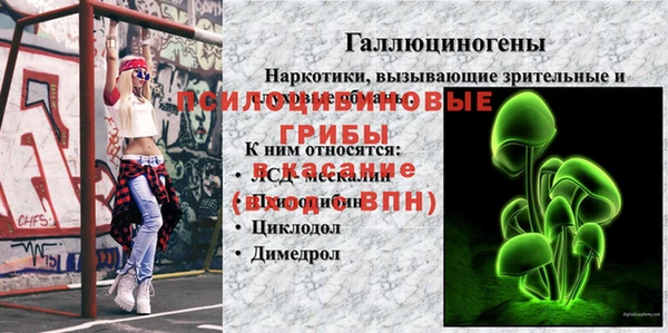 гидропоника Нея